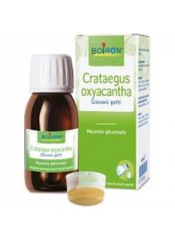 Boiron Crataegus Oxyacantha giovani getti 60 ml