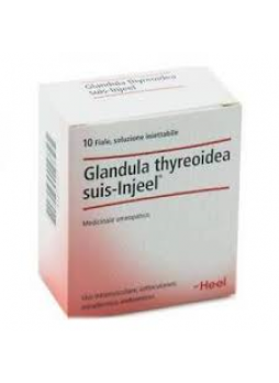 HEEL Glandula Thyreoidea Suis Injeel® 10 Fiale