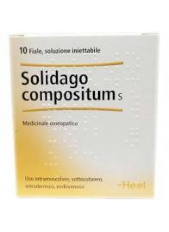 Heel Solidago Compositum 10 Fiale da 2,2ml