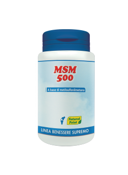 MSM 500 100 capsule